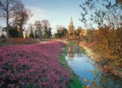Invierno en el Botánico de Gijón